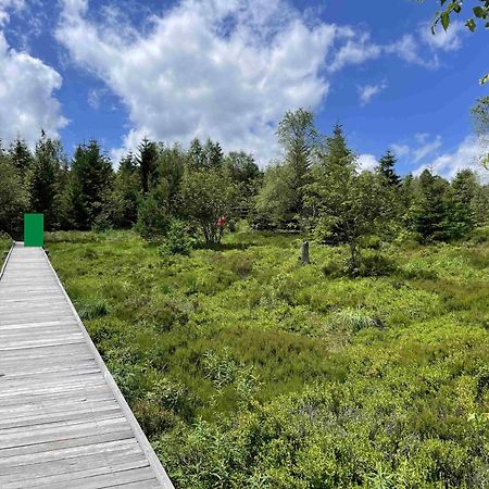 Ferienwohnung Kniebis Am Wald Φρόιντενσταντ Εξωτερικό φωτογραφία