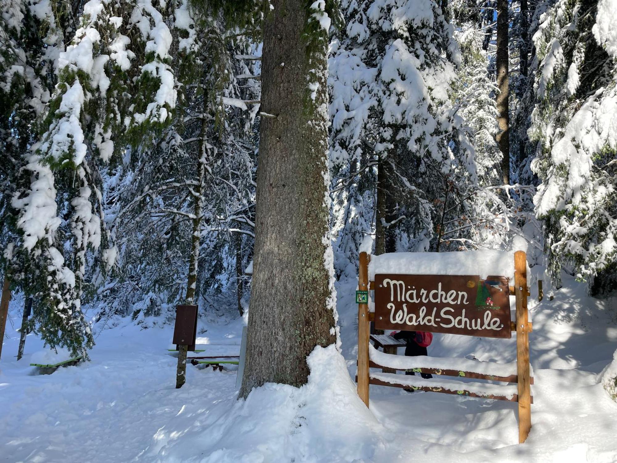 Ferienwohnung Kniebis Am Wald Φρόιντενσταντ Εξωτερικό φωτογραφία