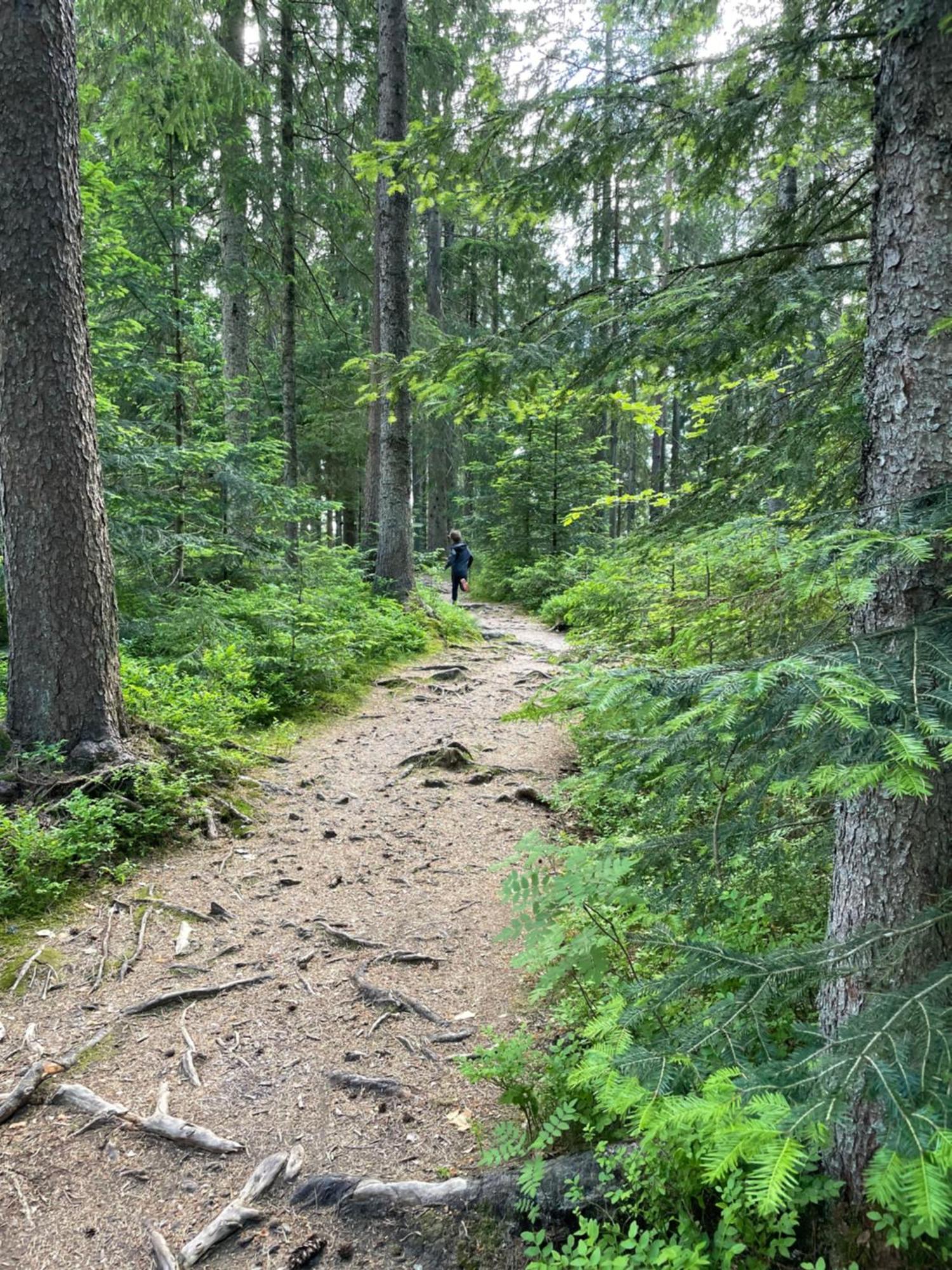 Ferienwohnung Kniebis Am Wald Φρόιντενσταντ Εξωτερικό φωτογραφία