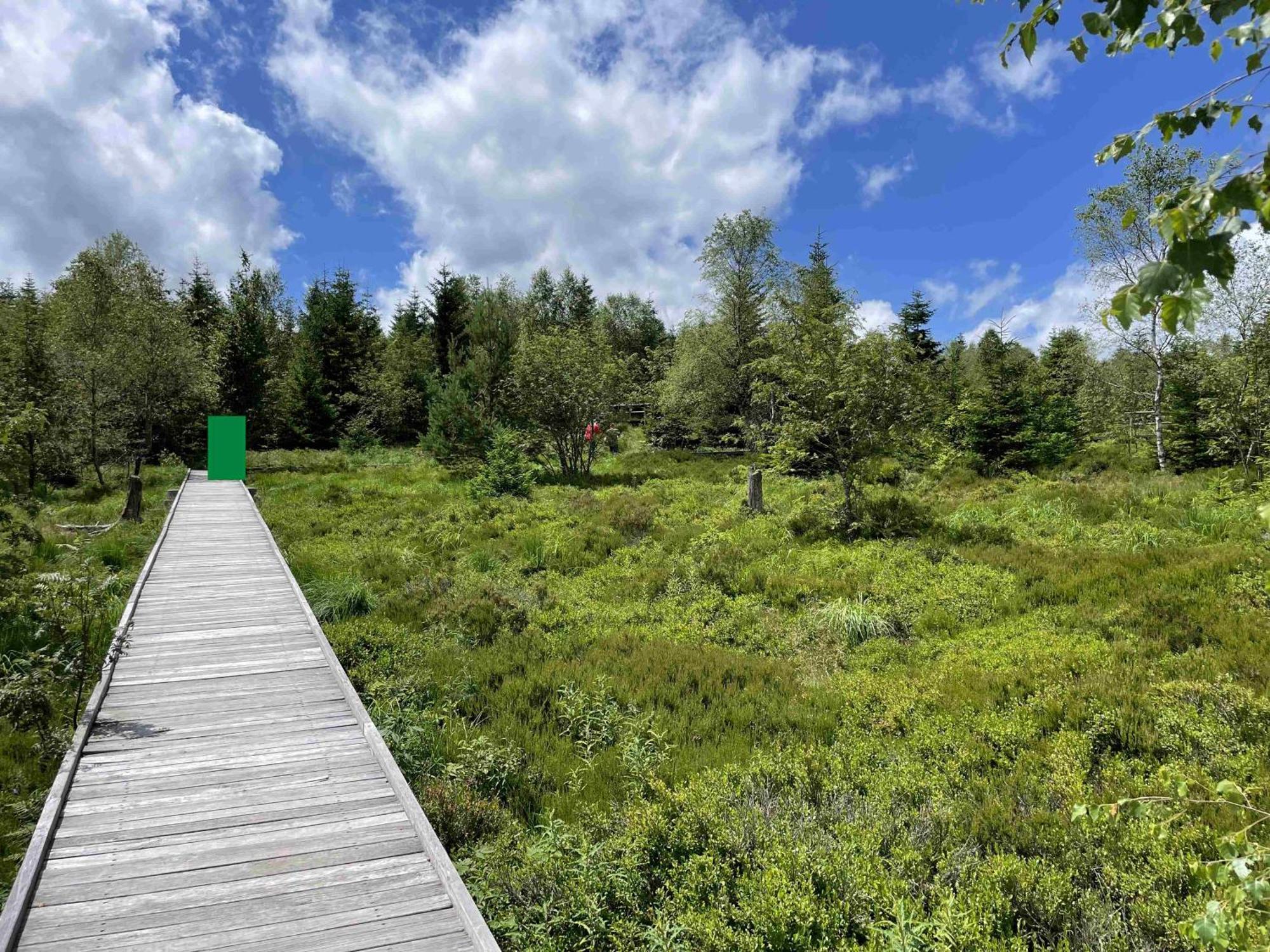 Ferienwohnung Kniebis Am Wald Φρόιντενσταντ Εξωτερικό φωτογραφία